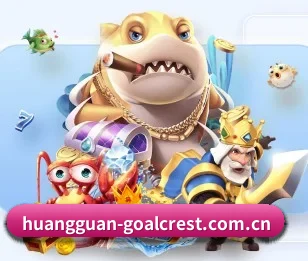 实时比分与赛程查询