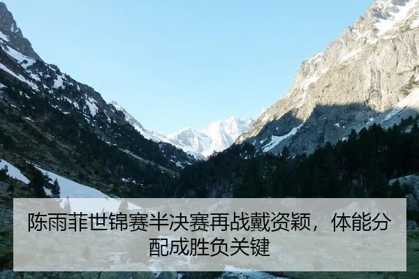 chen-yu-fei-shi-jin-sai-ban-jue-sai-zai-zhan-dai-zi-ying-ti-neng-fen-pei-cheng-sheng-fu-guan-jian-3-864.jpg